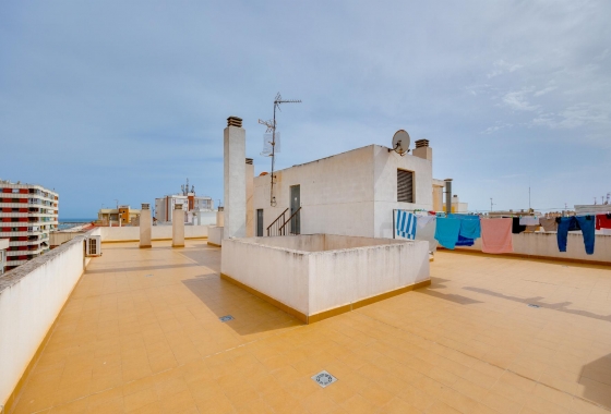 Rynek wtórny - Apartament - Torrevieja - Playa del Acequión