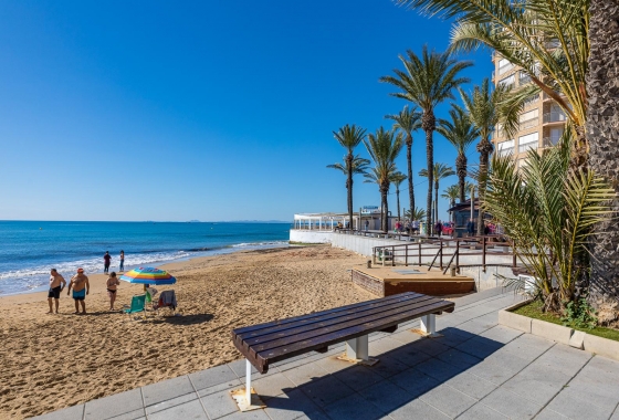 Rynek wtórny - Apartament - Torrevieja - Playa de los Locos