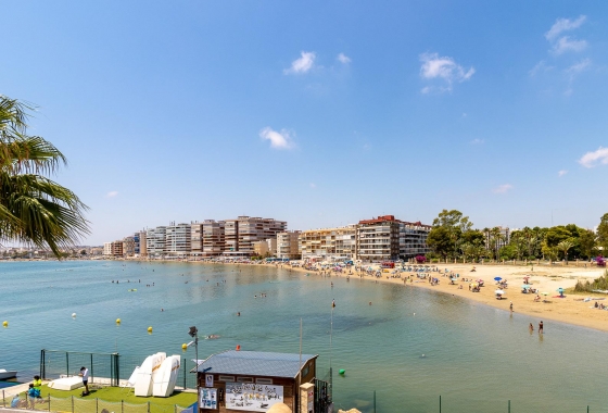 Rynek wtórny - Bungalow - Torrevieja - Playa de La Acequion