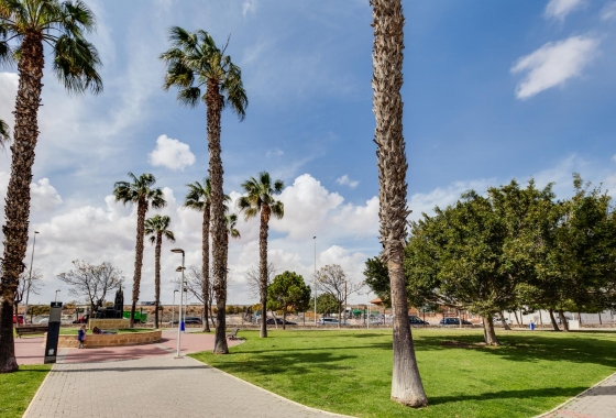 Rynek wtórny - Bungalow - Torrevieja - Playa de La Acequion