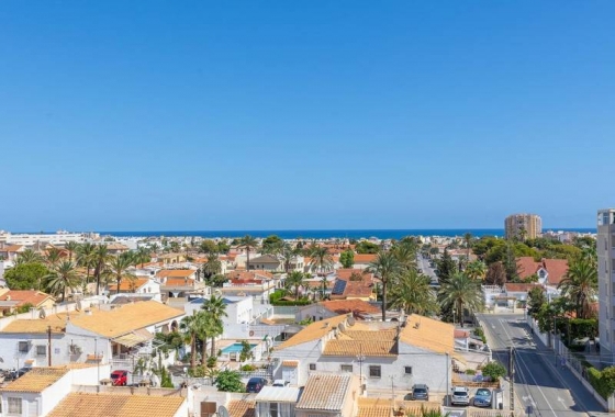 Rynek wtórny - Penthouse - Torrevieja - Nueva Torrevieja