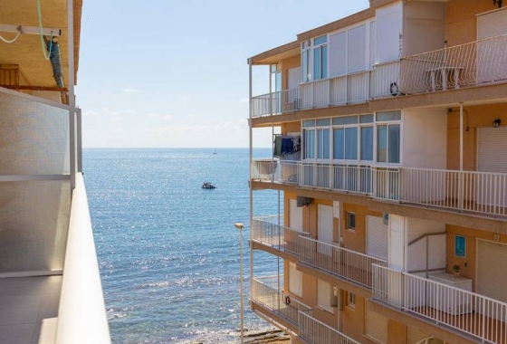 Rynek wtórny - Apartament - Torrevieja - Playa De Los Naufragos