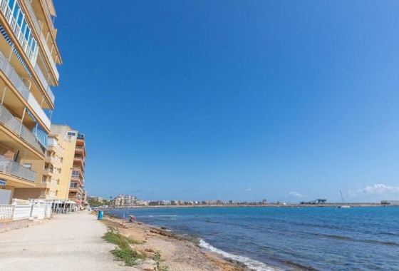 Rynek wtórny - Apartament - Torrevieja - Playa De Los Naufragos