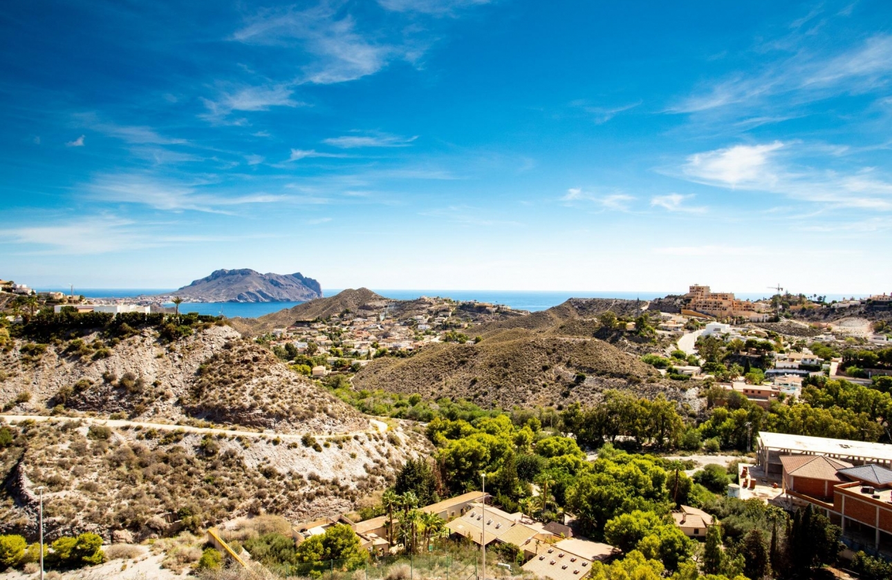 Obra nueva - Ático - Aguilas - Collados