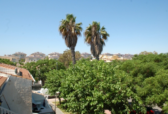 Reventa - Adosado - Torre de la Horadada - Mil Palmeras