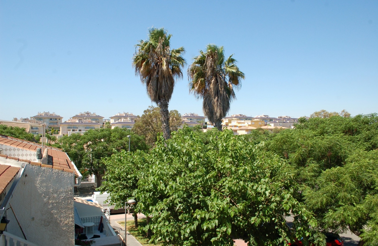 Reventa - Adosado - Torre de la Horadada - Mil Palmeras