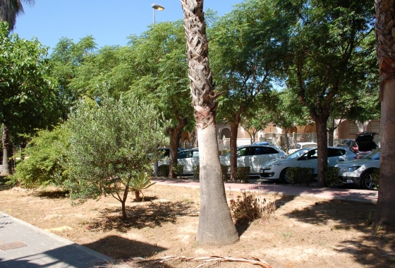 Reventa - Adosado - Torre de la Horadada - Mil Palmeras