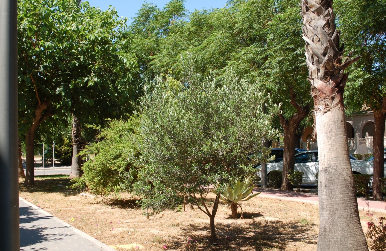 Reventa - Adosado - Torre de la Horadada - Mil Palmeras