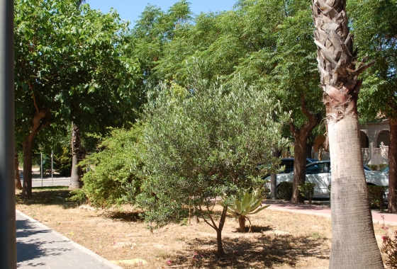 Reventa - Adosado - Torre de la Horadada - Mil Palmeras