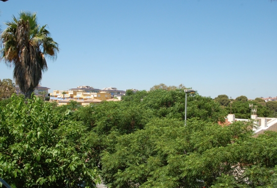 Resale - Townhouse - Torre de la Horadada - Mil Palmeras