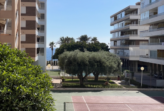 Reventa - Apartment - Torrevieja - La Veleta