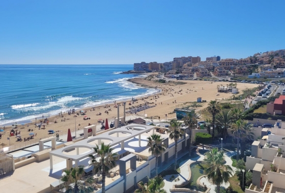 Rynek wtórny - Apartament - Torrevieja - La Mata