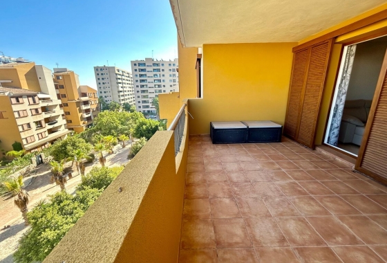 Rynek wtórny - Apartament - Torrevieja - Punta prima