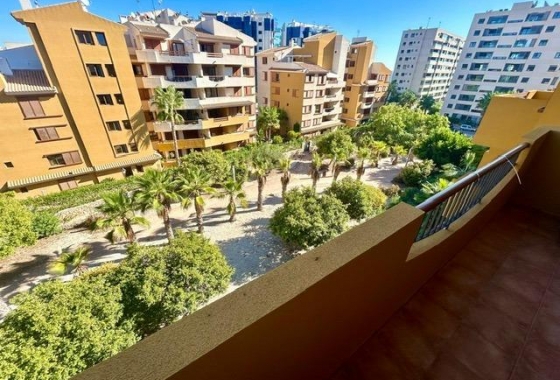 Reventa - Apartment - Torrevieja - Punta prima