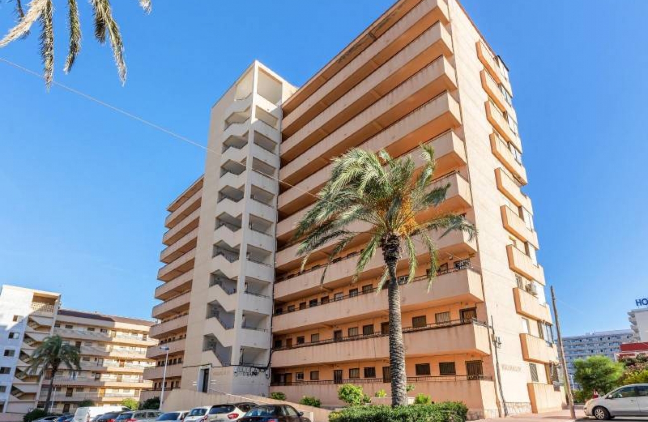 Rynek wtórny - Apartament - Torrevieja - Cabo cervera