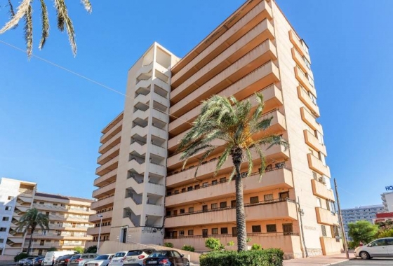 Resale - Apartment - Torrevieja - Cabo cervera