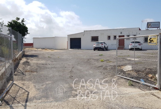 Resale - Country House - Los Montesinos - LOS MONTESINOS