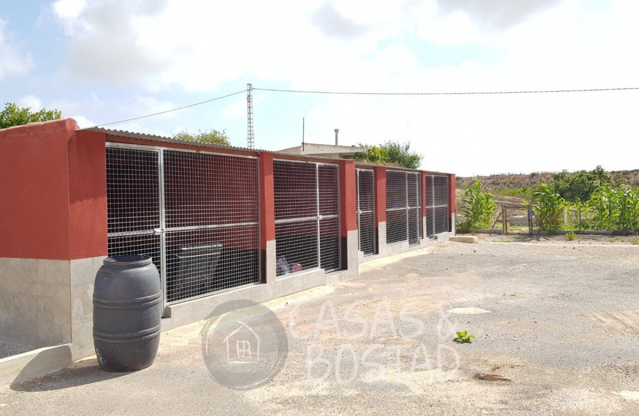 Resale - Country House - Los Montesinos - LOS MONTESINOS