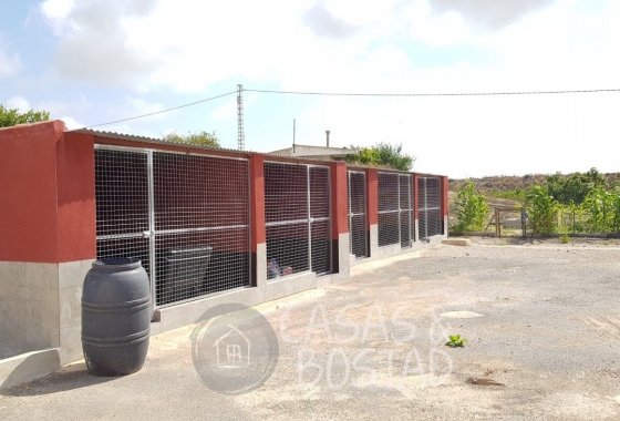 Resale - Country House - Los Montesinos - LOS MONTESINOS