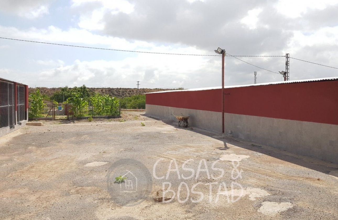 Resale - Country House - Los Montesinos - LOS MONTESINOS