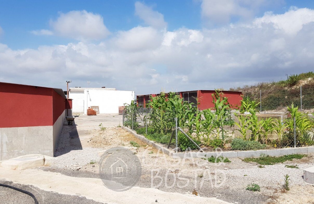 Resale - Country House - Los Montesinos - LOS MONTESINOS