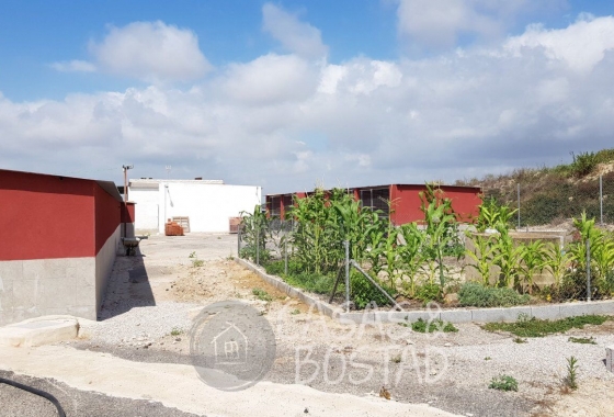 Resale - Country House - Los Montesinos - LOS MONTESINOS