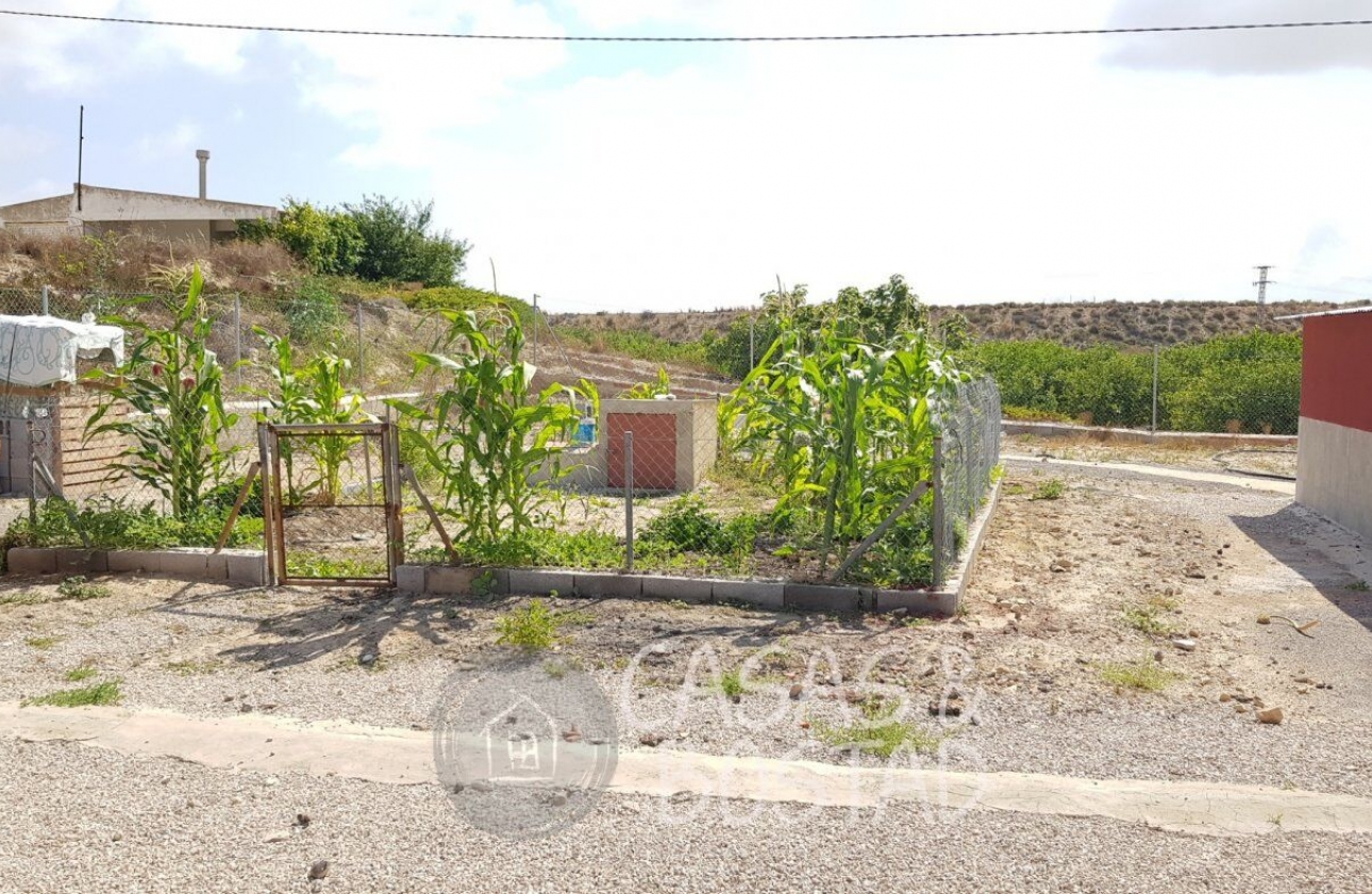 Resale - Country House - Los Montesinos - LOS MONTESINOS