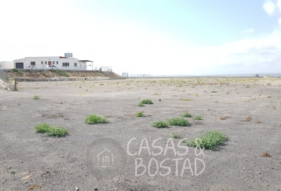 Resale - Country House - Los Montesinos - LOS MONTESINOS