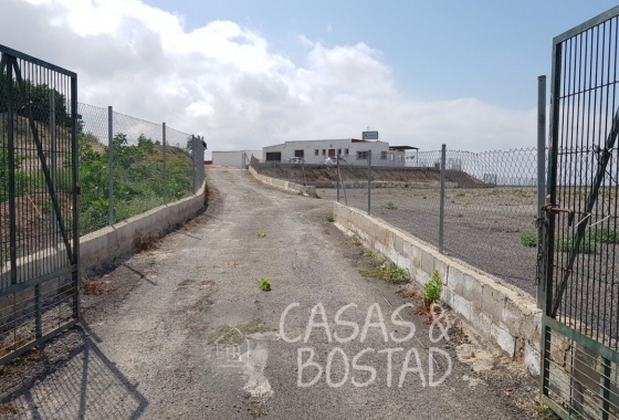 Resale - Country House - Los Montesinos - LOS MONTESINOS