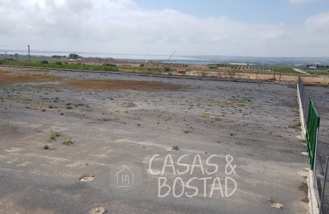 Resale - Country House - Los Montesinos - LOS MONTESINOS