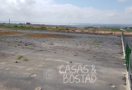 Resale - Country House - Los Montesinos - LOS MONTESINOS