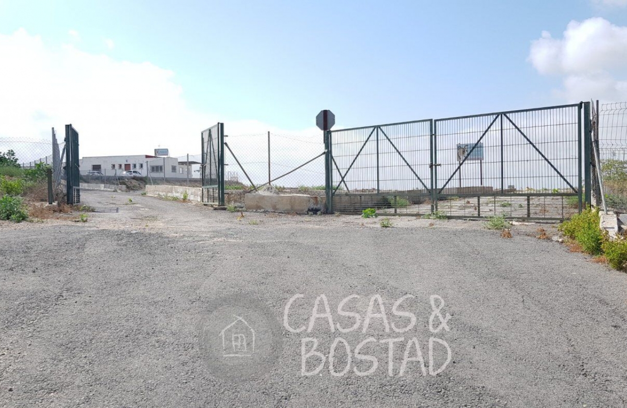 Resale - Country House - Los Montesinos - LOS MONTESINOS