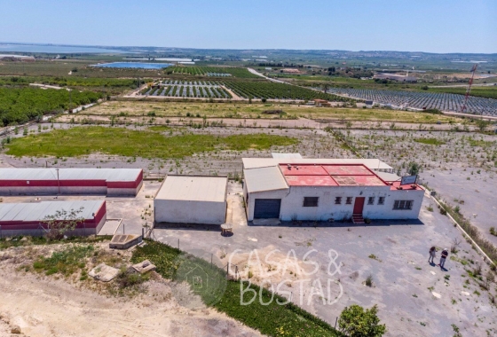 Resale - Country House - Los Montesinos - LOS MONTESINOS