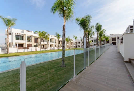 Obra nueva - Apartment - Torrevieja - Los Balcones