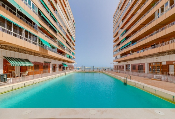 Reventa - Apartment - Torrevieja - El Acequión