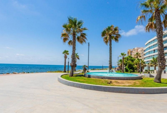 Rynek wtórny - Apartament - Torrevieja - Nueva Torrevieja