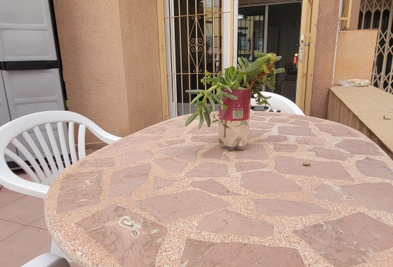 Rynek wtórny - Apartament - Torrevieja