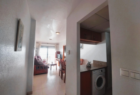 Rynek wtórny - Apartament - Torrevieja - Playa de los Locos