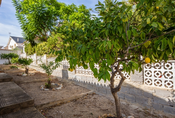 Rynek wtórny - Villa - Torrevieja - Los Balcones