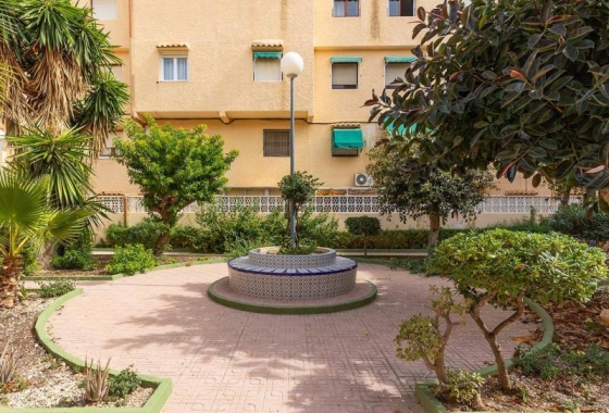 Reventa - Apartment - Torrevieja - La Mata