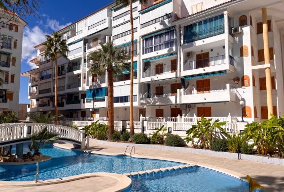 Reventa - Apartment - Torrevieja - La Mata