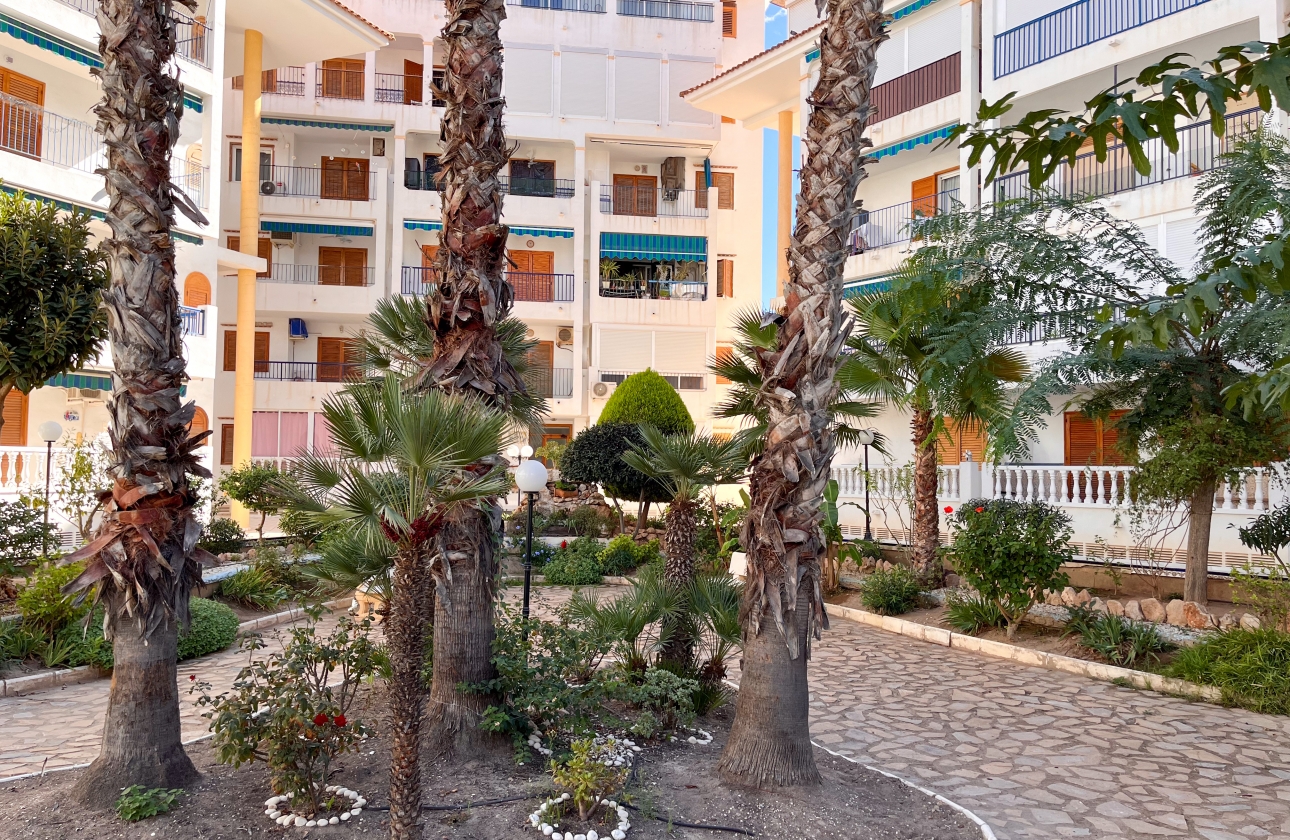 Rynek wtórny - Apartament - Torrevieja - La Mata