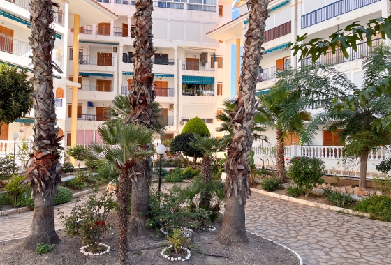 Resale - Apartment - Torrevieja - La Mata