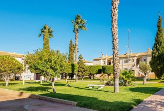 Rynek wtórny - Bungalow dolny - Torrevieja - Parque las naciones