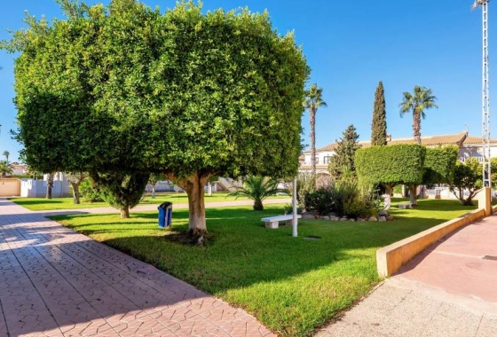 Rynek wtórny - Bungalow dolny - Torrevieja - Parque las naciones