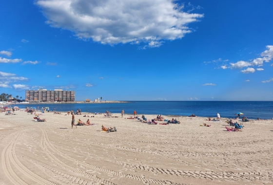 Rynek wtórny - Ground Floor - Torrevieja - Playa de los Locos