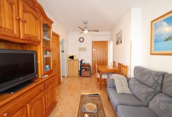 Reventa - Apartment - Torrevieja - Acequion