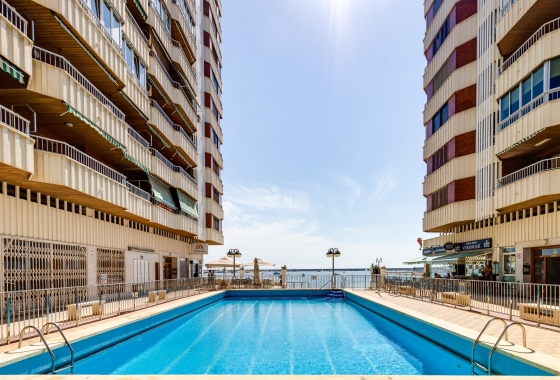 Rynek wtórny - Apartament - Torrevieja - Playa del Acequión