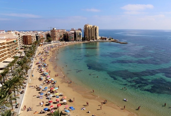 Obra nueva - Ático - Torrevieja - Playa del Cura