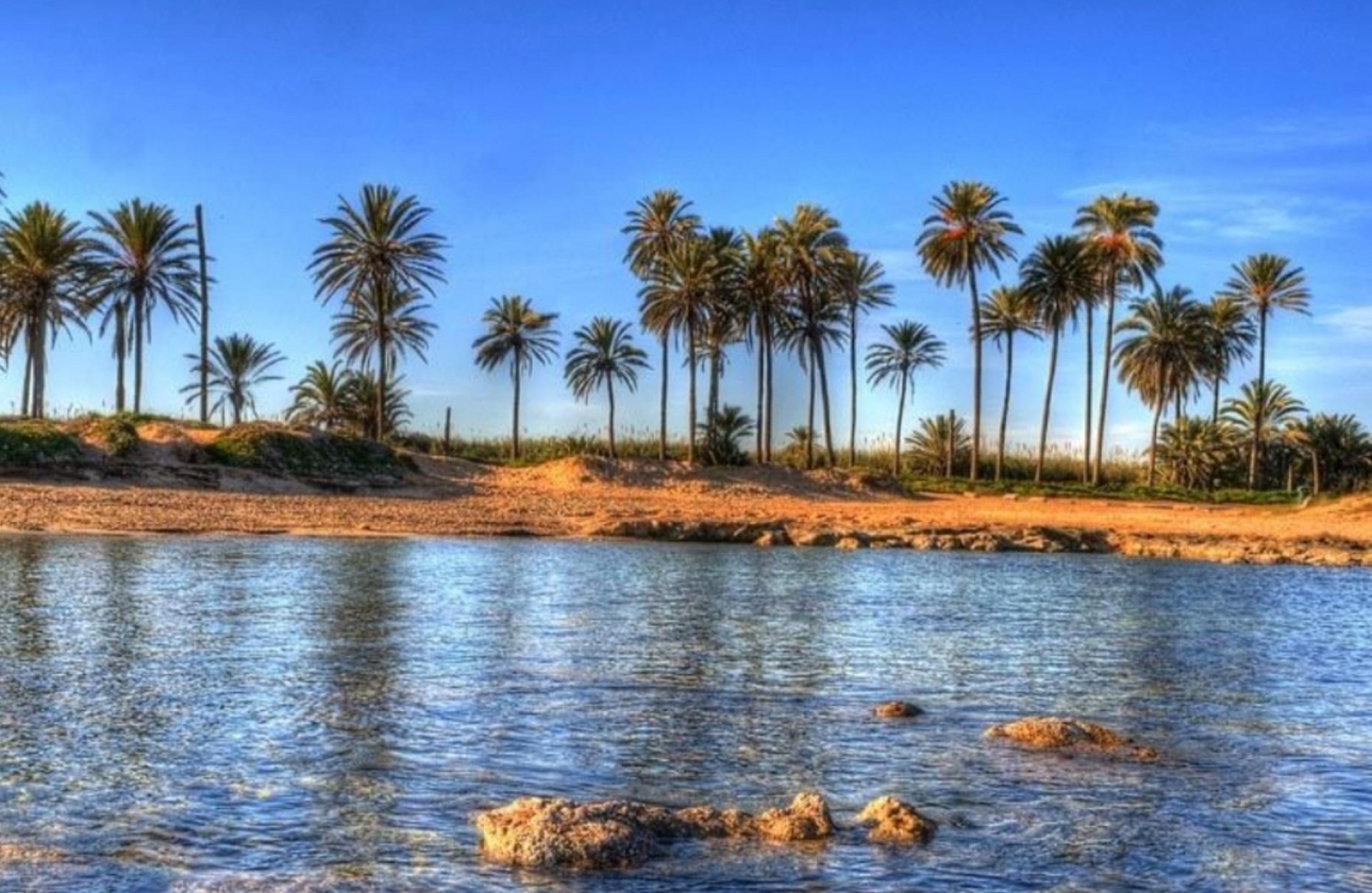 Obra nueva - Ático - Torrevieja - Playa del Cura